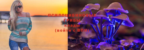 сатива Баксан