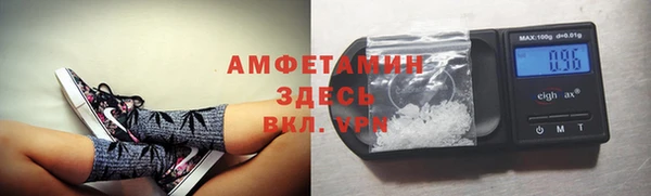 сатива Баксан