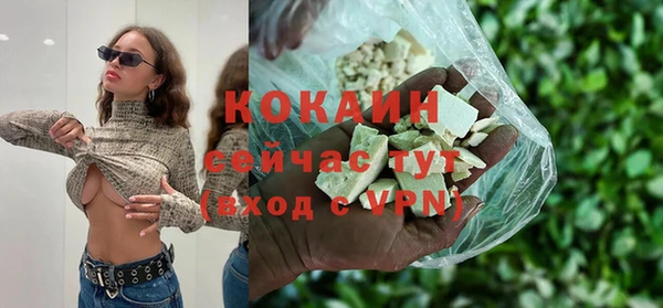 сатива Баксан