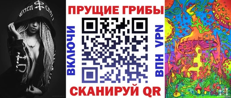 дарнет шоп  Чишмы  Псилоцибиновые грибы Magic Shrooms 